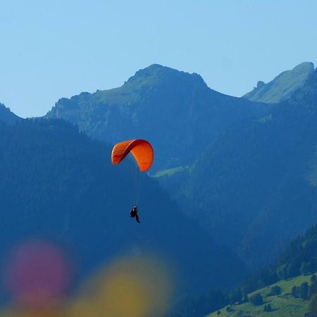 Chalet Clos Moccand Samoëns Zewnętrze zdjęcie